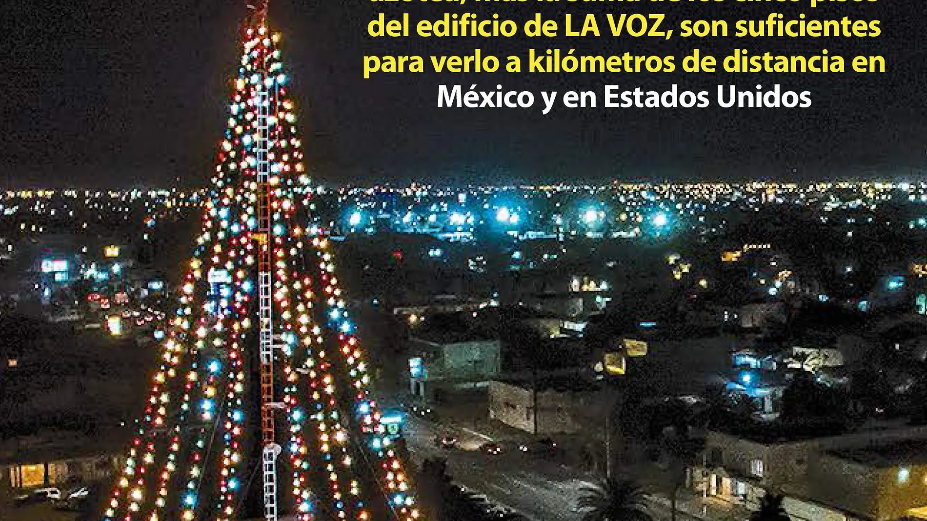 P2 Árbol Navideño LVF Foto Sergio Caro